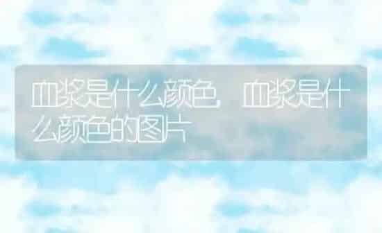 小狗名字大全,小狗名字大全顺口狗名 | 养殖科普