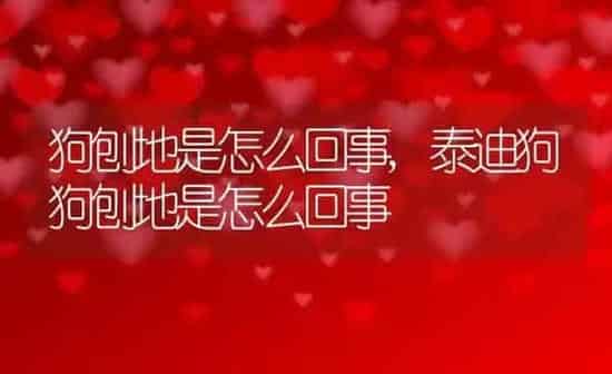 狗刨地是怎么回事,泰迪狗狗刨地是怎么回事 | 养殖科普