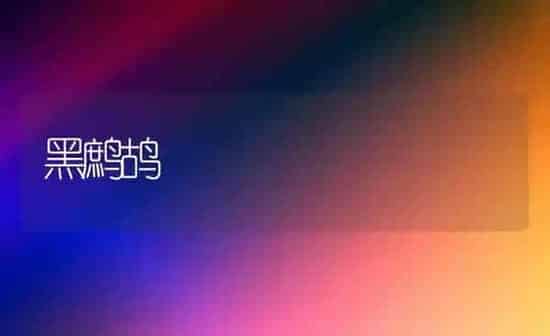 黑鹧鸪 | 养殖知识