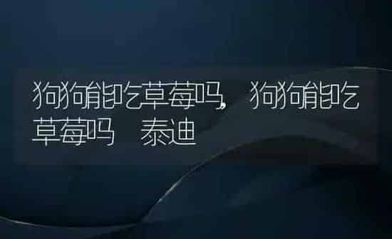 狗狗能吃草莓吗,狗狗能吃草莓吗 泰迪 | 养殖科普