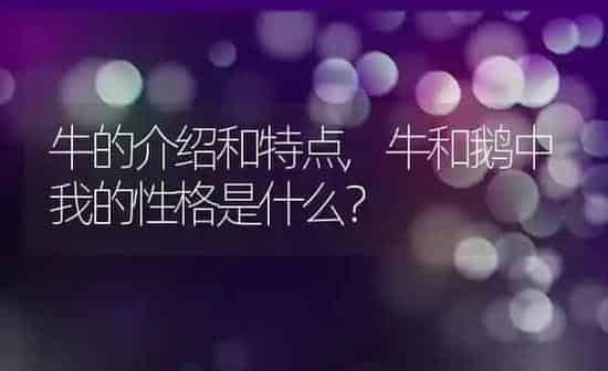 牛的介绍和特点,牛和鹅中我的性格是什么？ | 养殖科普