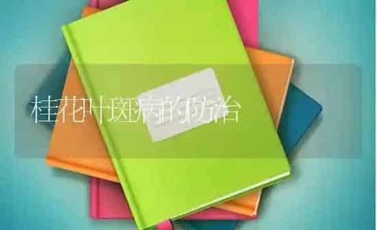桂花叶斑病的防治 | 养殖知识