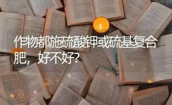 作物都施硫酸钾或硫基复合肥,好不好? | 养殖知识