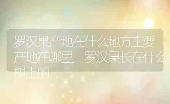 罗汉果产地在什么地方主要产地在哪里,罗汉果长在什么树上的 | 养殖学堂