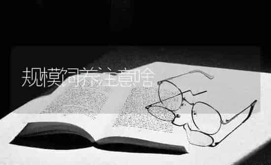 规模饲养注意啥 | 养殖知识