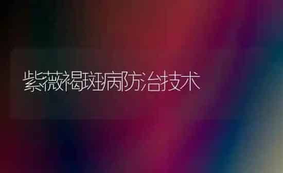 紫薇褐斑病防治技术 | 养殖知识