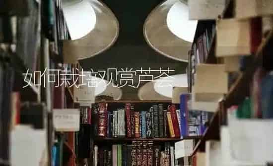 如何栽培观赏芦荟 | 养殖知识
