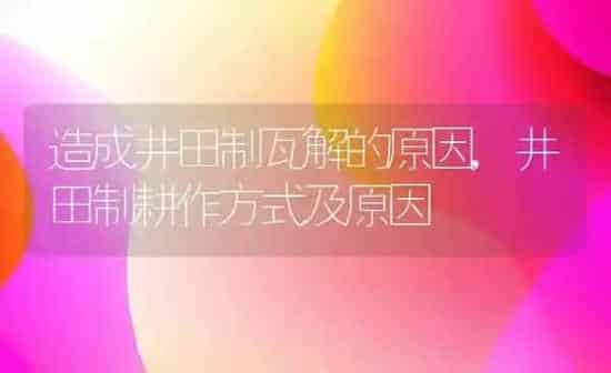 造成井田制瓦解的原因,井田制耕作方式及原因 | 养殖学堂