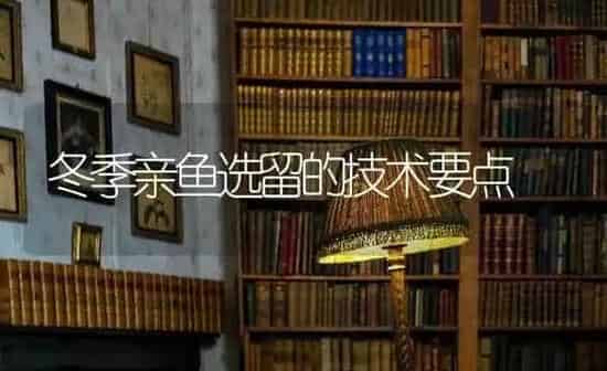 鹌鹑养殖笼摆放注意事项 | 养殖技术大全