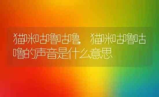 猫咪咕噜咕噜,猫咪咕噜咕噜的声音是什么意思 | 养殖资料