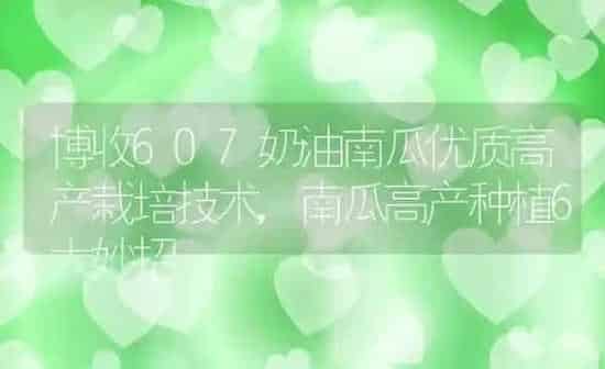 博收607奶油南瓜优质高产栽培技术,南瓜高产种植6大妙招 | 养殖学堂