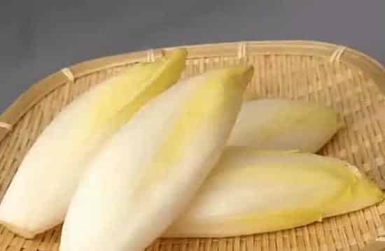 金玉兰菜种子哪里有卖,玉兰菜一年可以采收几次？