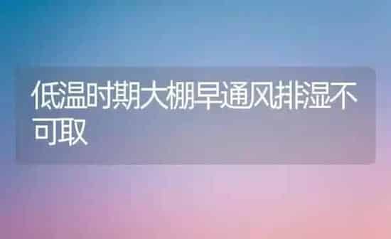 低温时期大棚早通风排湿不可取 | 养殖知识