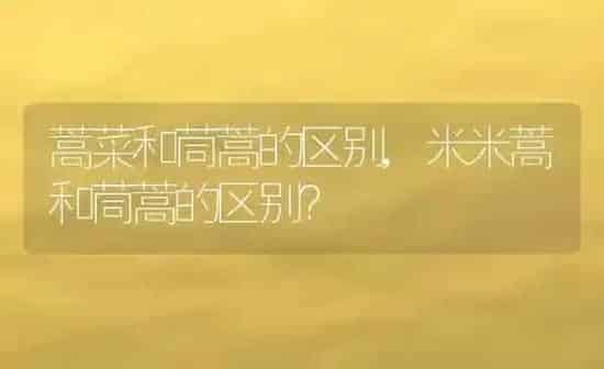 狗打喷嚏怎么回事,博美狗狗打喷嚏怎么回事 | 养殖科普