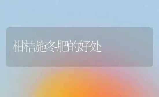 柑桔施冬肥的好处 | 养殖知识