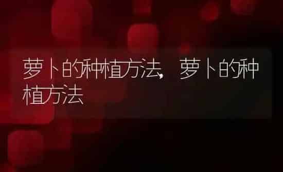 牛磺酸有什么作用,牛磺酸有什么作用与功效 | 养殖科普