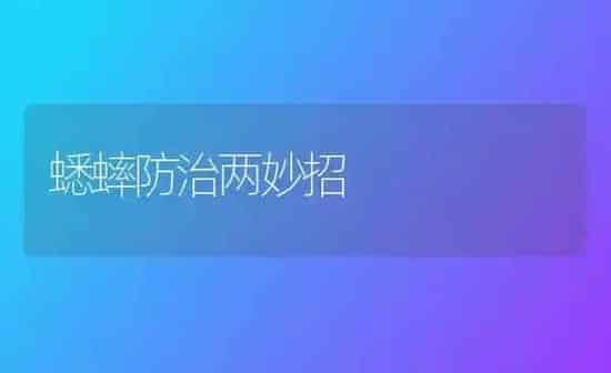 蟋蟀防治两妙招 | 养殖知识