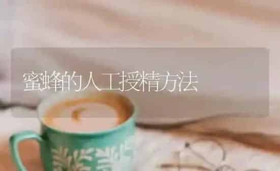蜜蜂的人工授精方法 | 养殖技术大全
