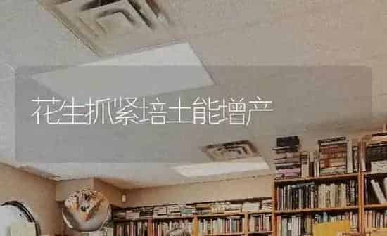 花生抓紧培土能增产 | 养殖知识
