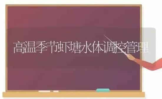高温季节虾塘水体调控管理 | 养殖知识