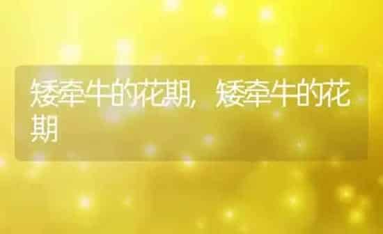矮牵牛的花期,矮牵牛的花期 | 养殖科普