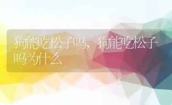 狗能吃松子吗,狗能吃松子吗为什么 | 养殖科普
