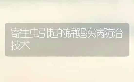 寄生虫引起的锦鲤疾病防治技术 | 宠物病虫害防治