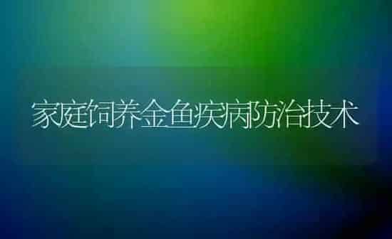 家庭饲养金鱼疾病防治技术 | 宠物病虫害防治