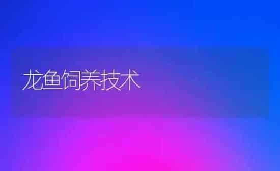 龙鱼饲养技术 | 鱼类宠物