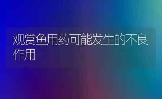 观赏鱼用药可能发生的不良作用 | 鱼类宠物