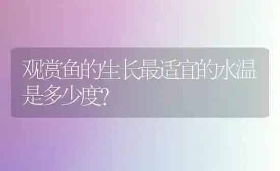 观赏鱼的生长最适宜的水温是多少度？ | 鱼类宠物