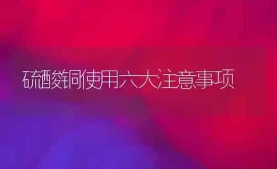 能促使金鱼速长的方法 | 鱼类宠物