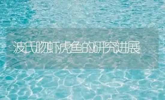 波氏吻虾虎鱼的研究进展 | 鱼类宠物