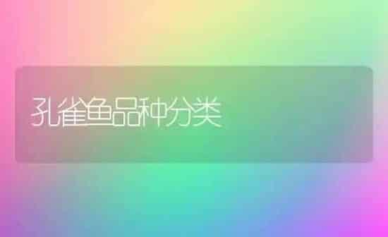 孔雀鱼品种分类 | 鱼类宠物