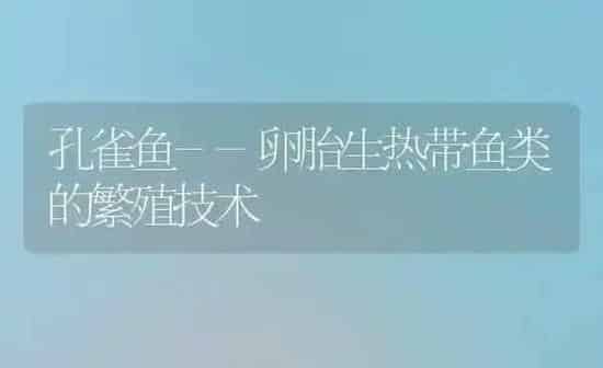 孔雀鱼--卵胎生热带鱼类的繁殖技术 | 鱼类宠物