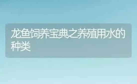 龙鱼饲养宝典之养殖用水的种类 | 鱼类宠物