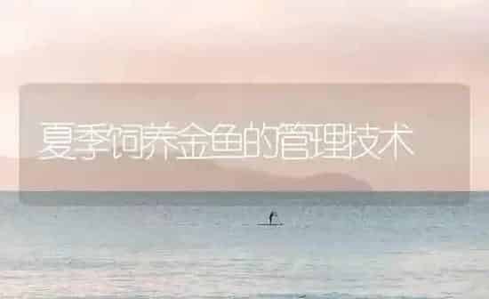 夏季饲养金鱼的管理技术 | 鱼类宠物