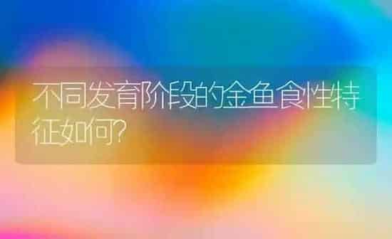 不同发育阶段的金鱼食性特征如何? | 鱼类宠物