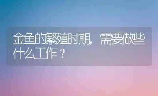金鱼的繁殖时期，需要做些什么工作？ | 鱼类宠物