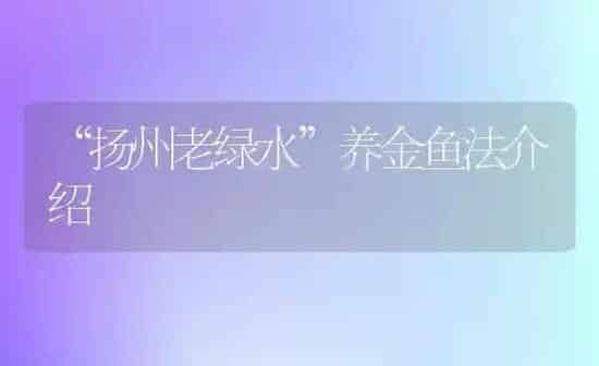 “扬州老绿水”养金鱼法介绍 | 鱼类宠物
