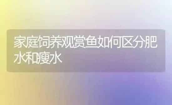家庭饲养观赏鱼如何区分肥水和瘦水 | 鱼类宠物