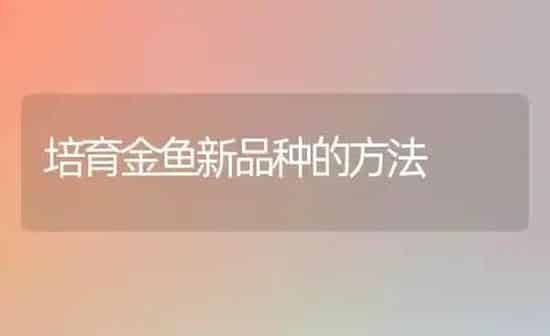 培育金鱼新品种的方法 | 鱼类宠物