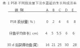 高浓度光合细菌在观赏鱼养殖中的应用试验