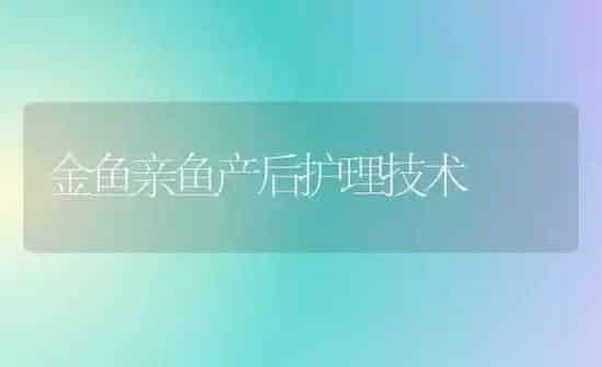 金鱼亲鱼产后护理技术 | 鱼类宠物