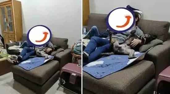 汪在妈咪怀中翻肚脚开开 开心到忘记收舌头 | 狗
