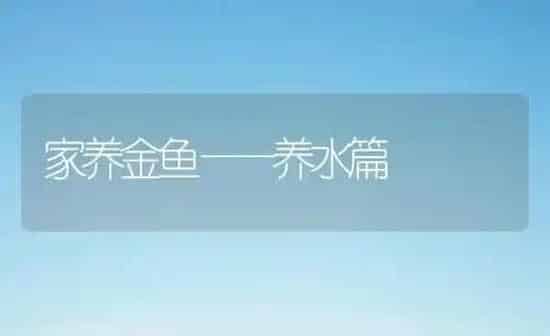 家养金鱼——养水篇 | 鱼类宠物