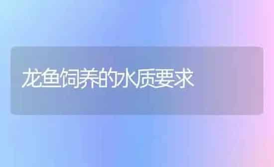 龙鱼饲养的水质要求 | 鱼类宠物