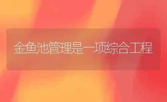金鱼池管理是一项综合工程 | 鱼类宠物