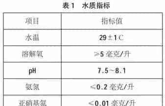 罗汉鱼的繁殖与苗种培育技术