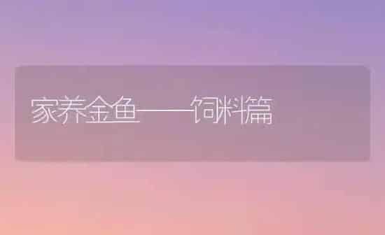 家养金鱼——饲料篇 | 宠物饲料知识